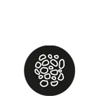 aagro-productsegment-tierfutter