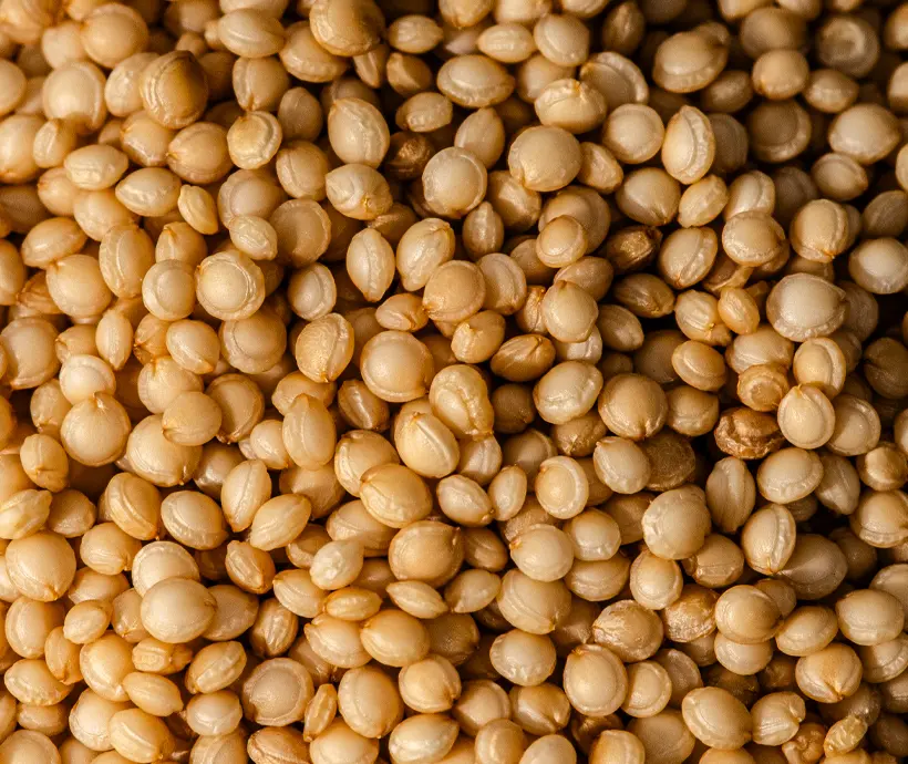 Funktionelle Naturrohstoffe & rückverfolgbare Agrarprodukte aus Indien