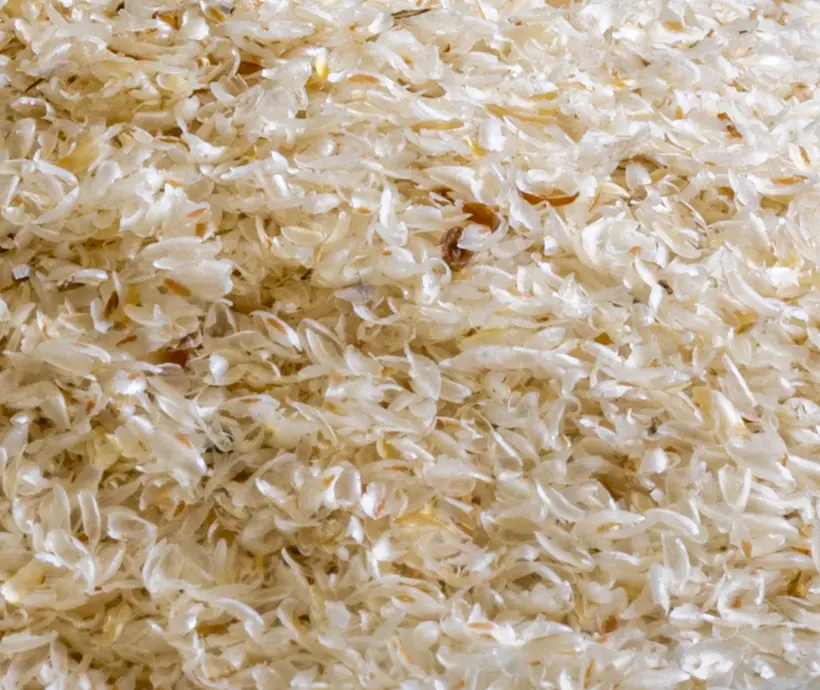 Funktionelle Naturrohstoffe & rückverfolgbare Agrarprodukte aus Indien