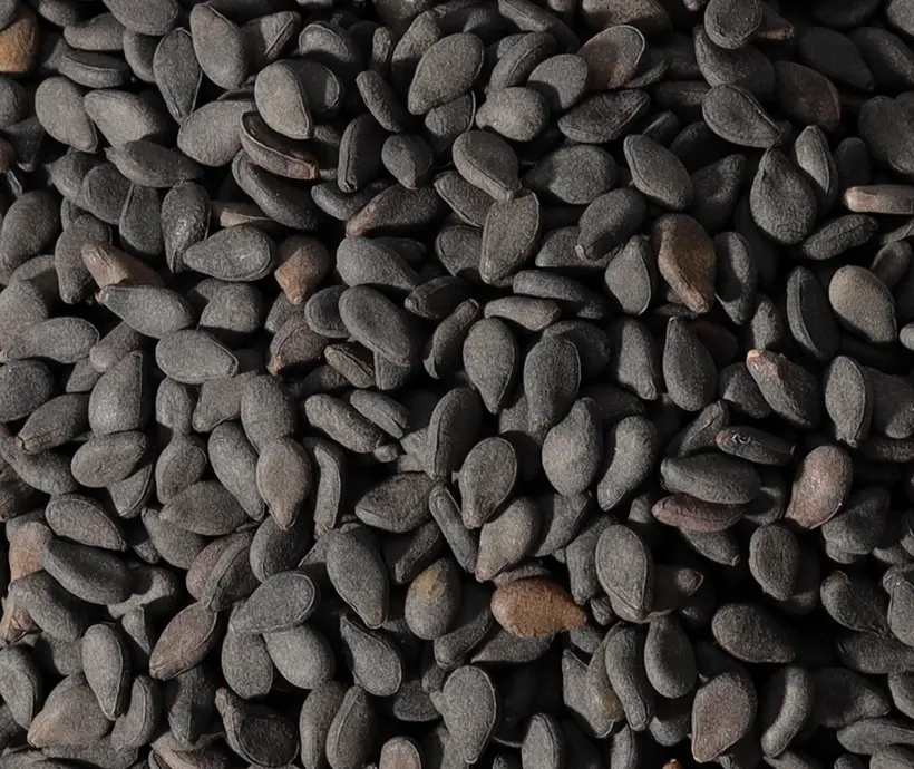 Lieferant für indische Backzutaten für Bäckereien und Zutaten für die Backwarenindustrie