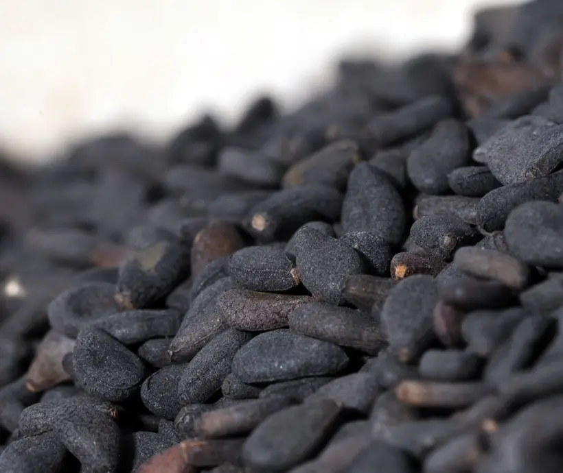 Lieferant für indische Backzutaten für Bäckereien und Zutaten für die Backwarenindustrie