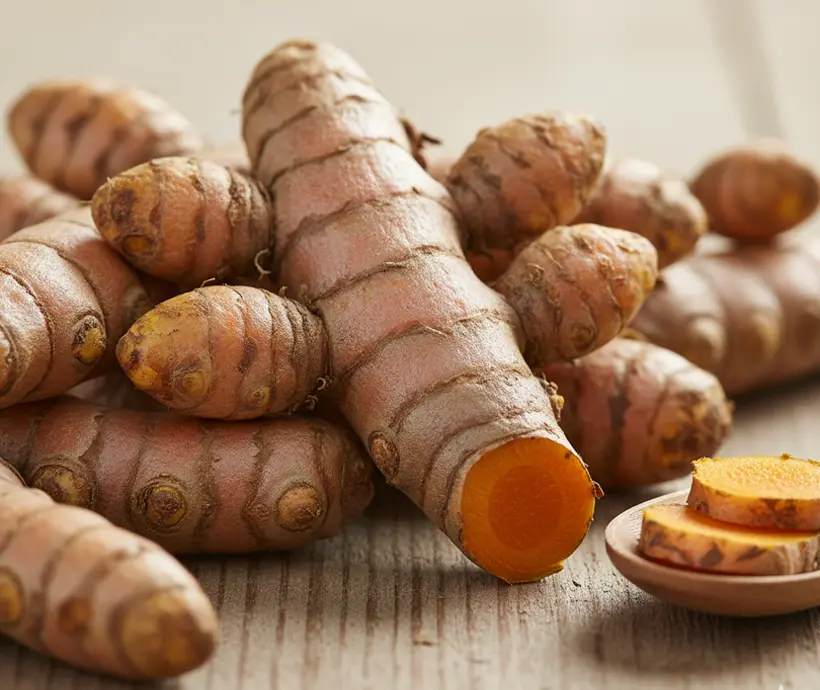 Rohstoff aus Indien Kurkuma Wurzel und Pulver